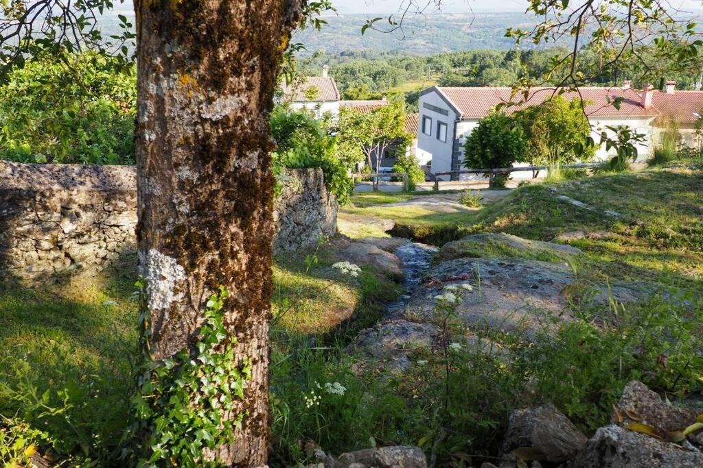 El Bosque De Los Romanos Apartamento Puerto de Béjar Exterior foto