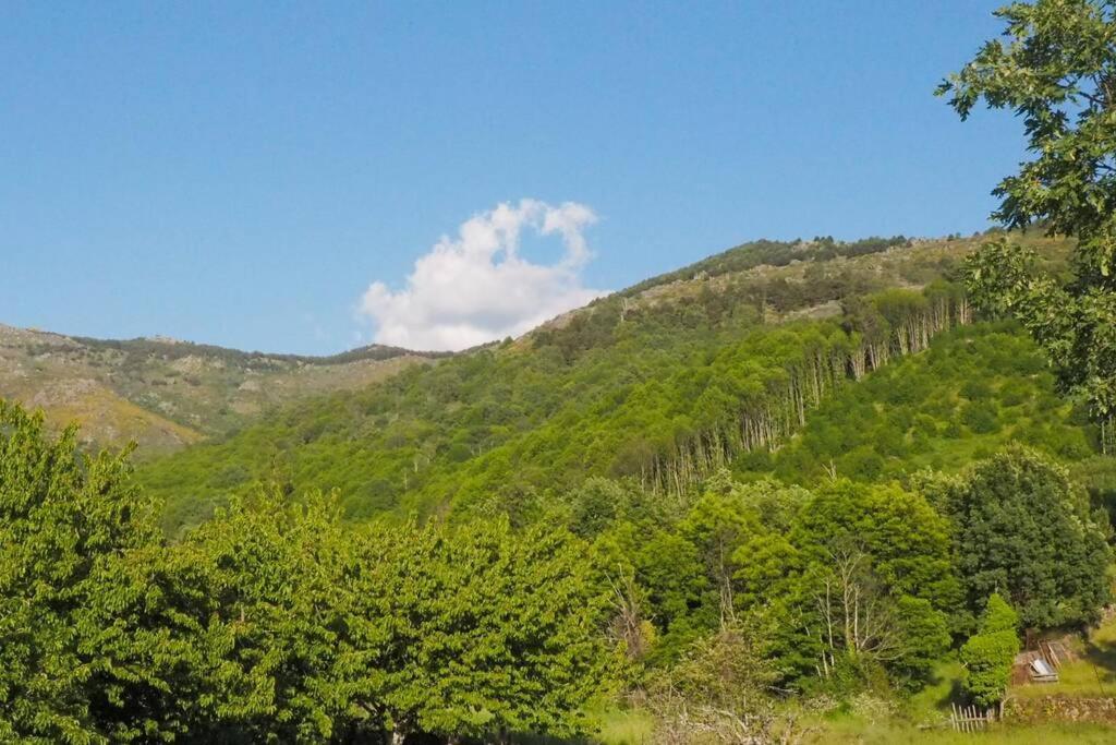 El Bosque De Los Romanos Apartamento Puerto de Béjar Exterior foto