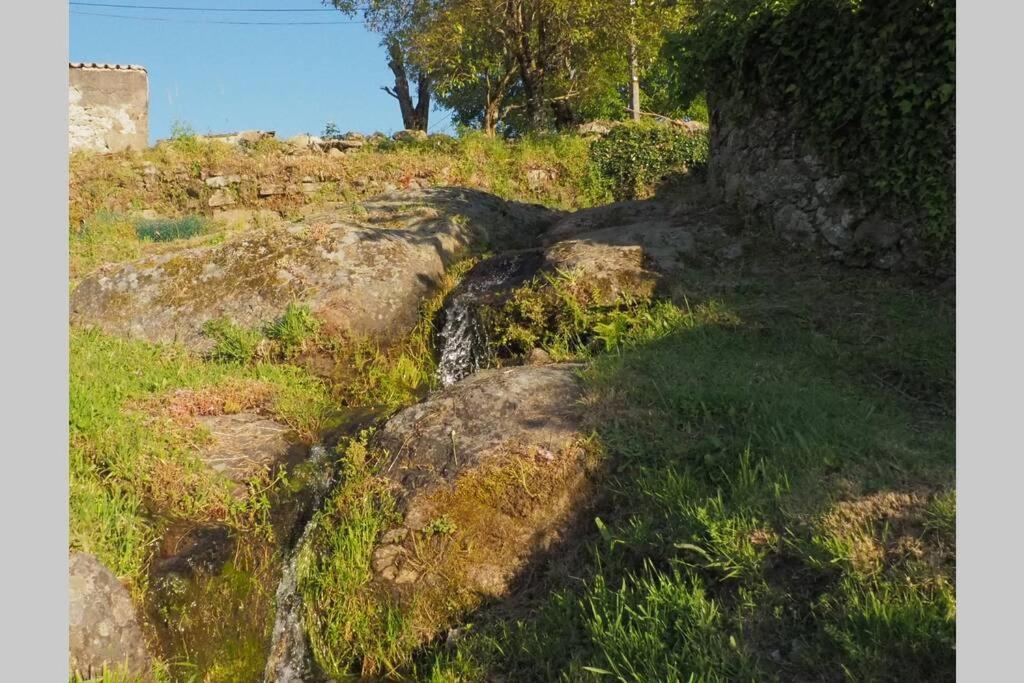 El Bosque De Los Romanos Apartamento Puerto de Béjar Exterior foto